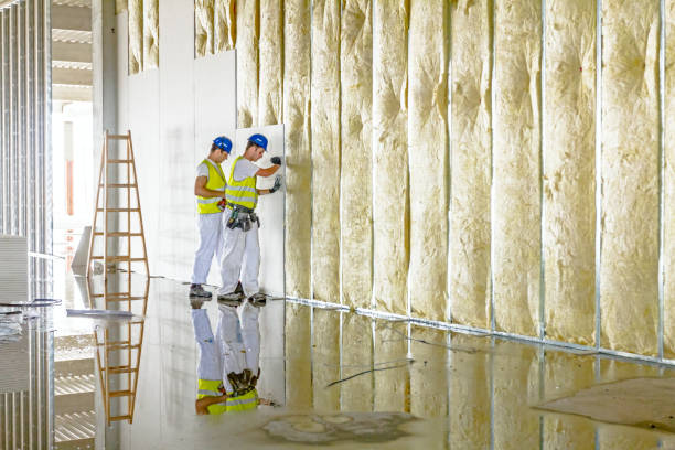 Best Attic Insulation Installation  in Macom, IL